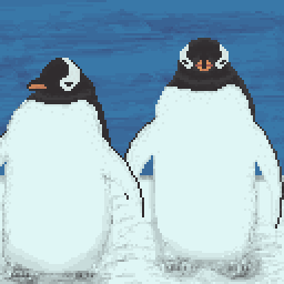 gentoo penguin pair
